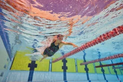 Amanzi - Aquatica Ladies Kneelength 20 Amanzi - Aquatica Ladies Kneelength -Swim Wave Shop amanzi aquatica ladies kneelength 10