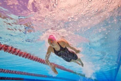 Amanzi - Jagger Ladies Kneelength 18 Amanzi - Jagger Ladies Kneelength -Swim Wave Shop amanzi jagger ladies kneelength 9