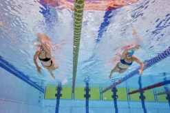 Amanzi - Neptune Ladies Sports Bikini Top 11 Amanzi - Neptune Ladies Sports Bikini Top -Swim Wave Shop amanzi neptune ladies sports bikini top 6