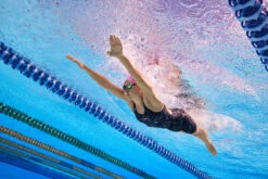 Amanzi - Stardust Ladies Kneelength -Swim Wave Shop amanzi stardust ladies kneelength 3